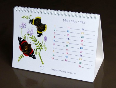 calendrier-papillons_1